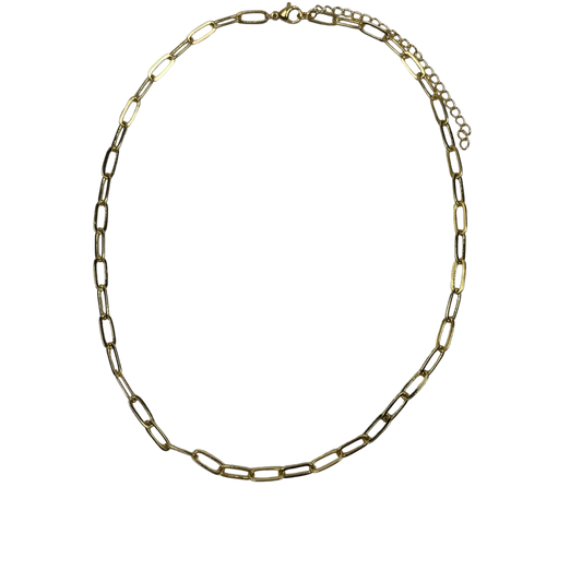 Chain with Five Charms